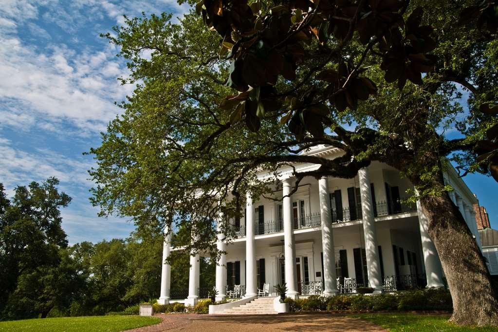 Dunleith Historic Inn Natchez Luaran gambar