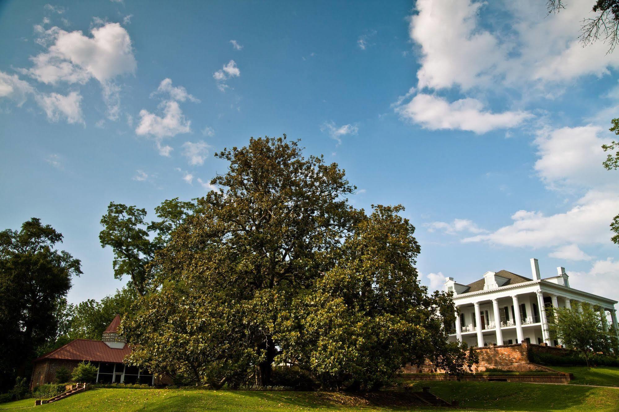 Dunleith Historic Inn Natchez Luaran gambar